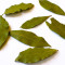 Hojas de laurel Hojas de laurel